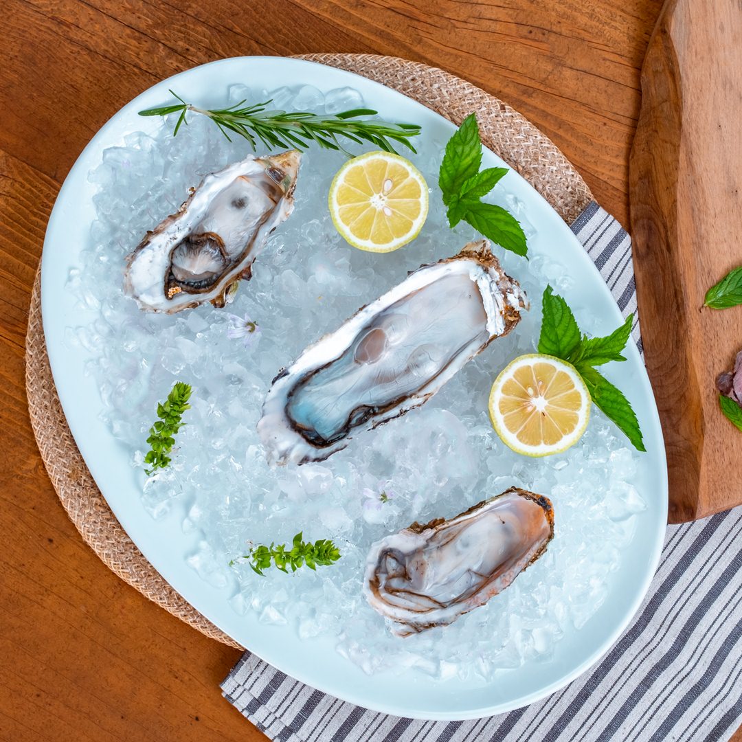 OYSTERS